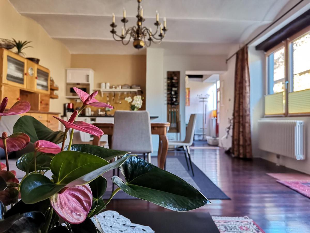 Gaestehaus Doris Purbach am Neusiedlersee Exterior foto